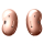 Samsung Galaxy Buds Live brązowe - 582994 - zdjęcie